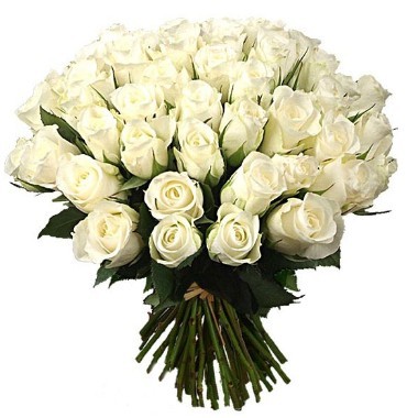 Este arreglo magn fico de 36 rosas blancas asombra en su sencillez